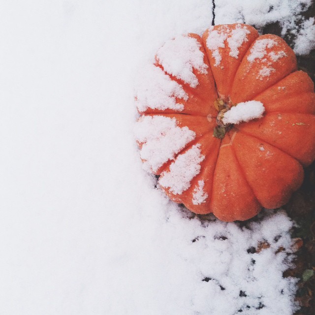 1450070_10152864704552605_81032449542373616_n