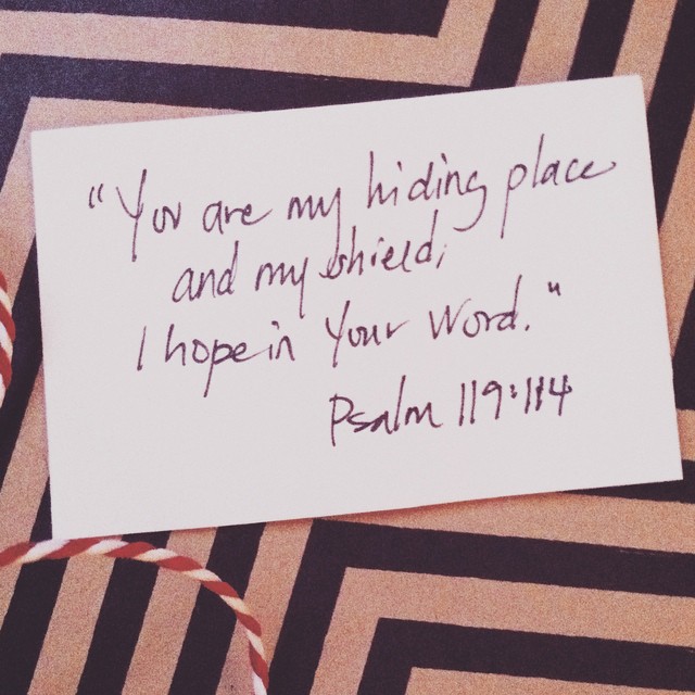 10888753_10152992506437605_260980993475778103_n