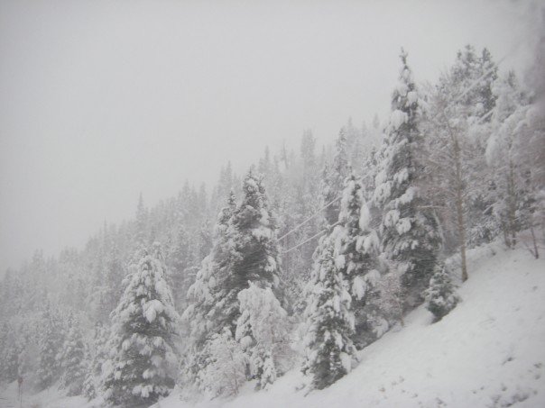 230684_6458742604_3047_n