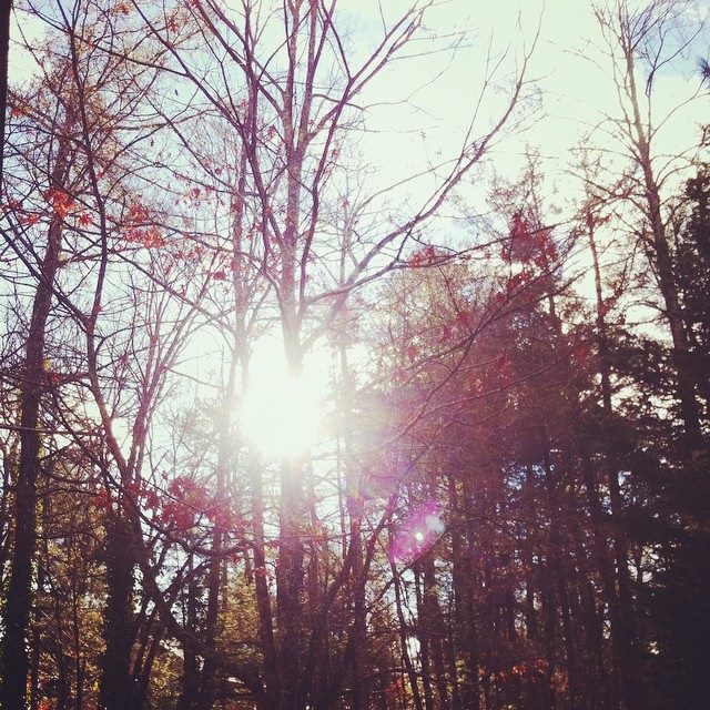 10953964_10153080756392605_4586440351919340520_n