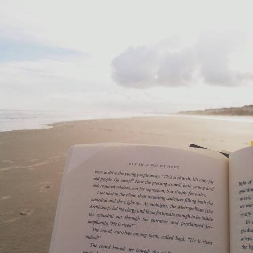 12065590_10153619510987605_4870127891808512266_n