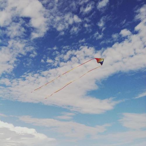 12079507_10153619733987605_5901749031158810361_n