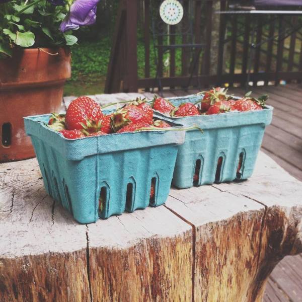 13087577_10154068909112605_8664589198314347543_n