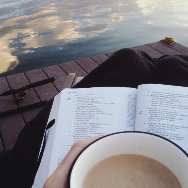 13507206_10154200293872605_2191406371242355249_n